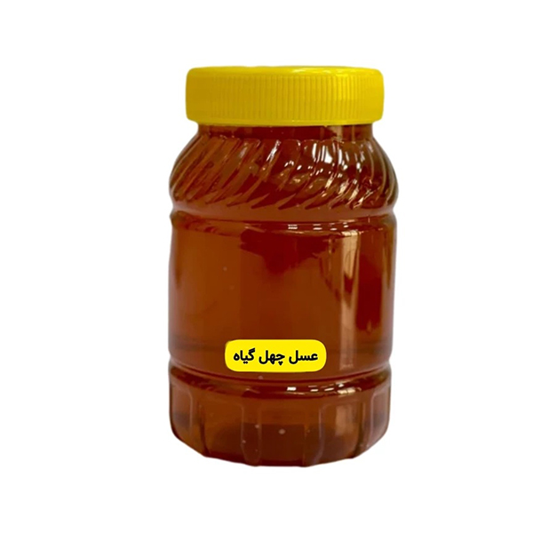 عسل طبیعی چهل گیاه طبیعی (یک کیلو)